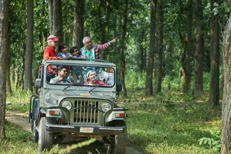 Jungle-Safari-450x300