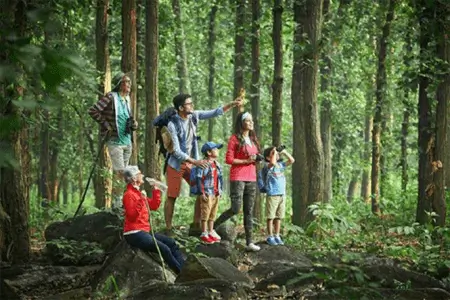 Jungle-Trekking-450x300