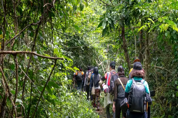 Jungletrek
